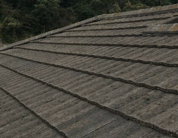 広島市安芸区中野H様邸 施工前 苔や藻が付着したモニエル瓦(ホームステッド)の屋根