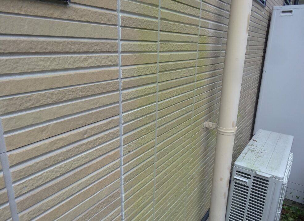 広島市安佐北区三入H様邸 施工前 1階北面のタイル調外壁に発生した藻