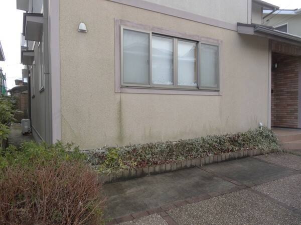広島市安佐南区伴南H様邸 施工前 玄関まわりの植栽のそばで外壁の下部に出た藻