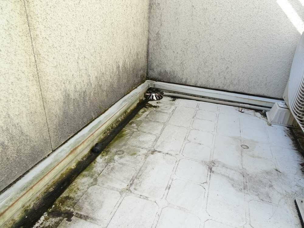 広島市安佐南区大塚西K様邸 施工前 藻が生えて汚れたベランダ床と内壁
