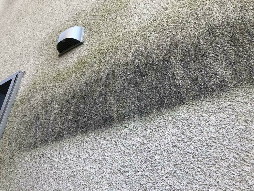 広島市安佐南区伴南N様邸 施工前 スタッコ仕上げの外壁に発生した藻と黒いカビ