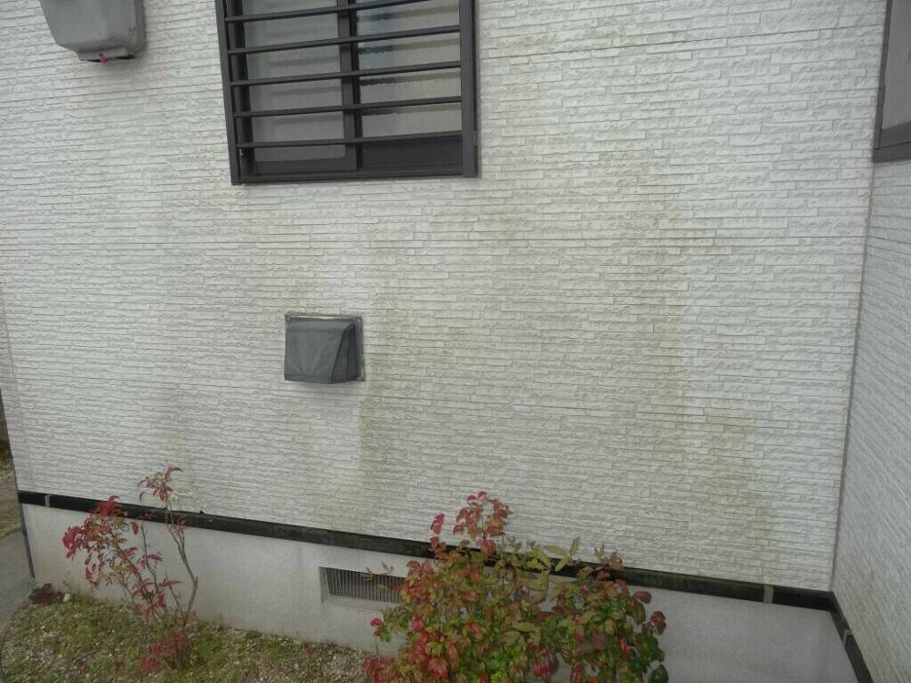 広島市安佐南区伴南S様邸 施工前 北面の外壁に多く発生した藻