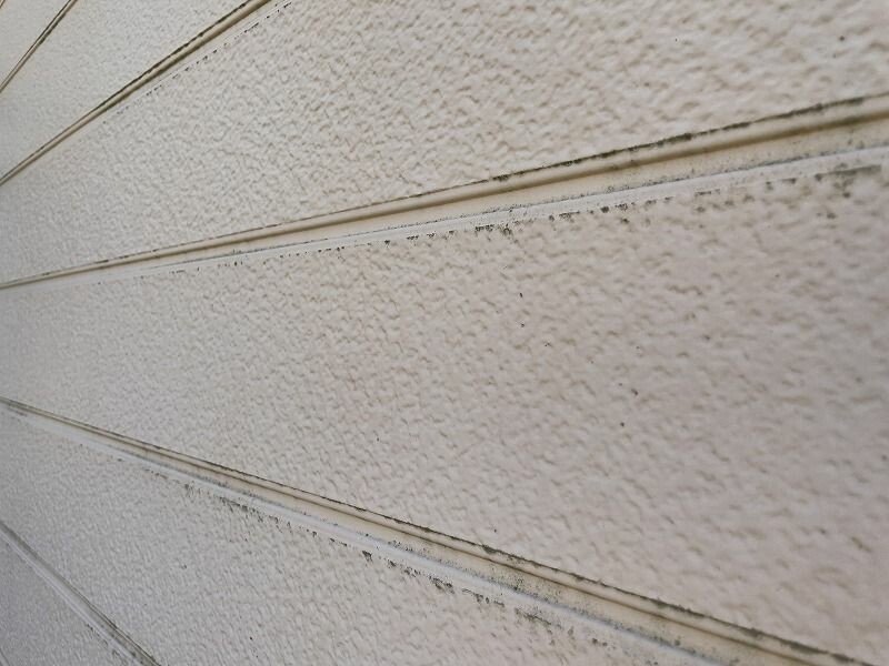 廿日市市大野A様邸 施工前 藻が発生した横張りサイディングの外壁